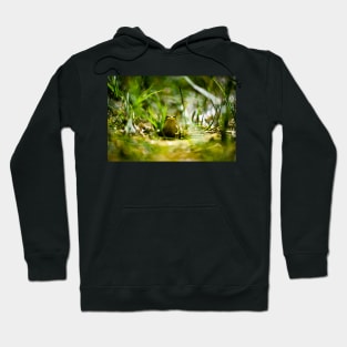 Frogger Hoodie